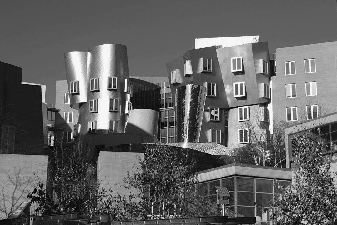​Stata Center, MIT. Designed by Frank Gehry